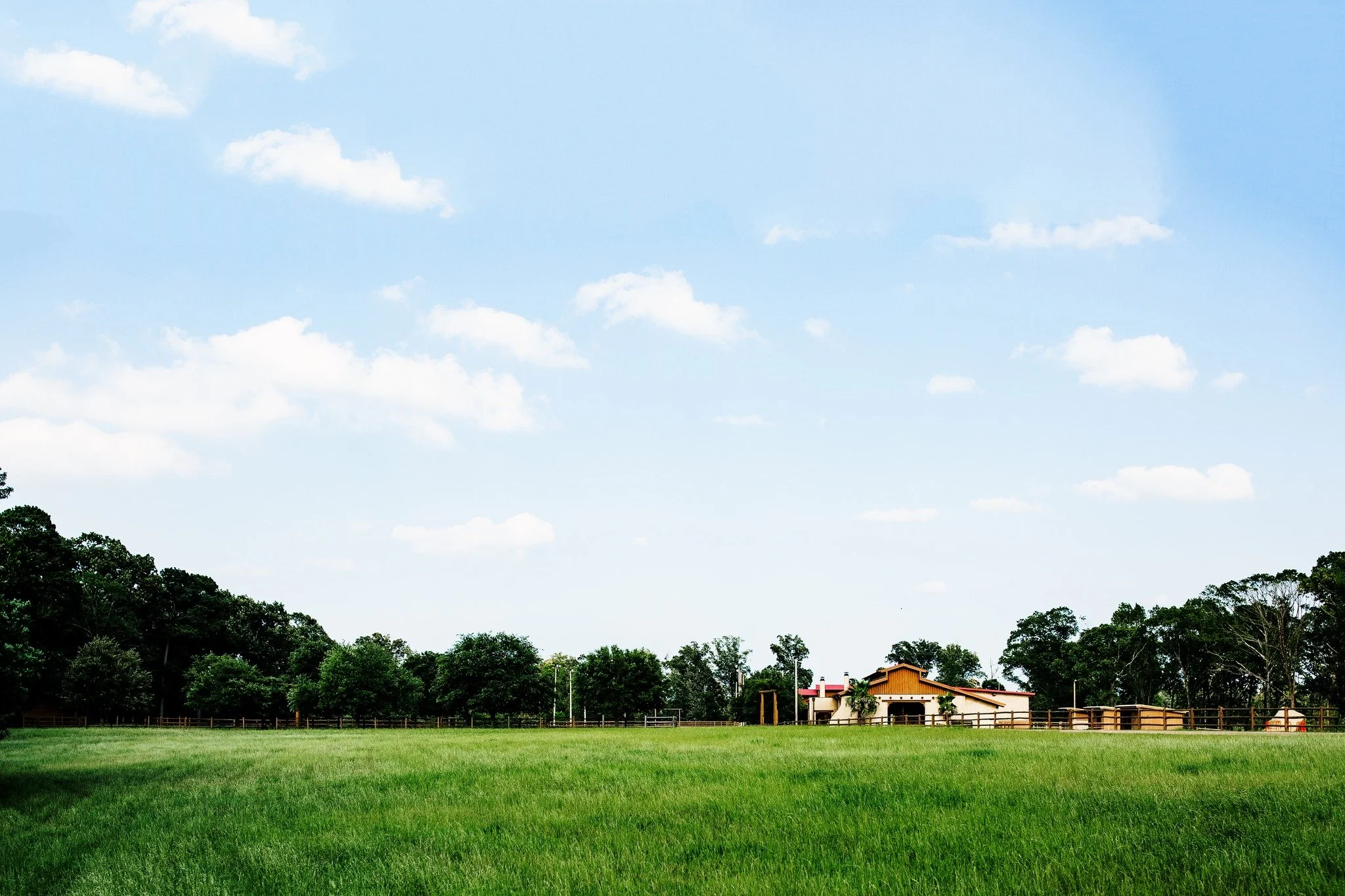 Make your next event truly special by choosing The Barn as your venue. Contact us today to learn more about booking our barn and ranch for your retreats, weddings, parties, celebrations, and more. 

📩: barn@dragginm.com
&bull; &bull; &bull; &bull; &