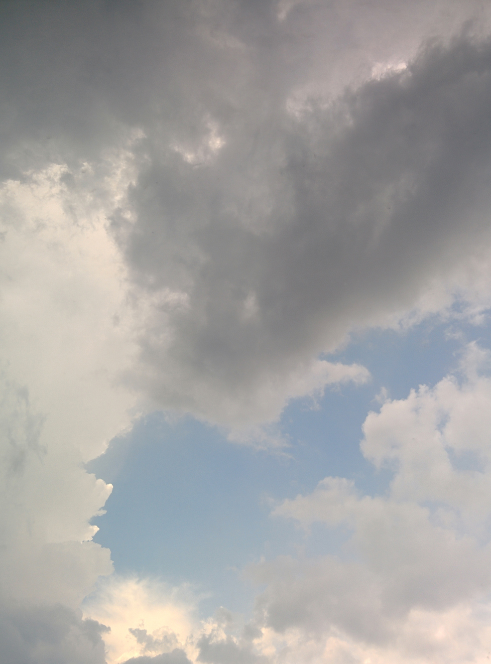 IMG_20140804_150724.jpg