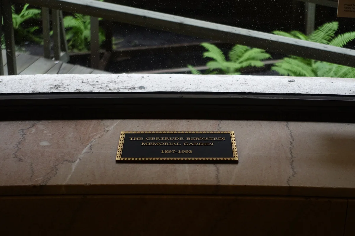 DSC07453 - Crop.jpg