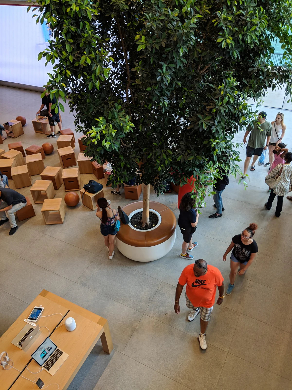 IMG_20180715_145412.jpg