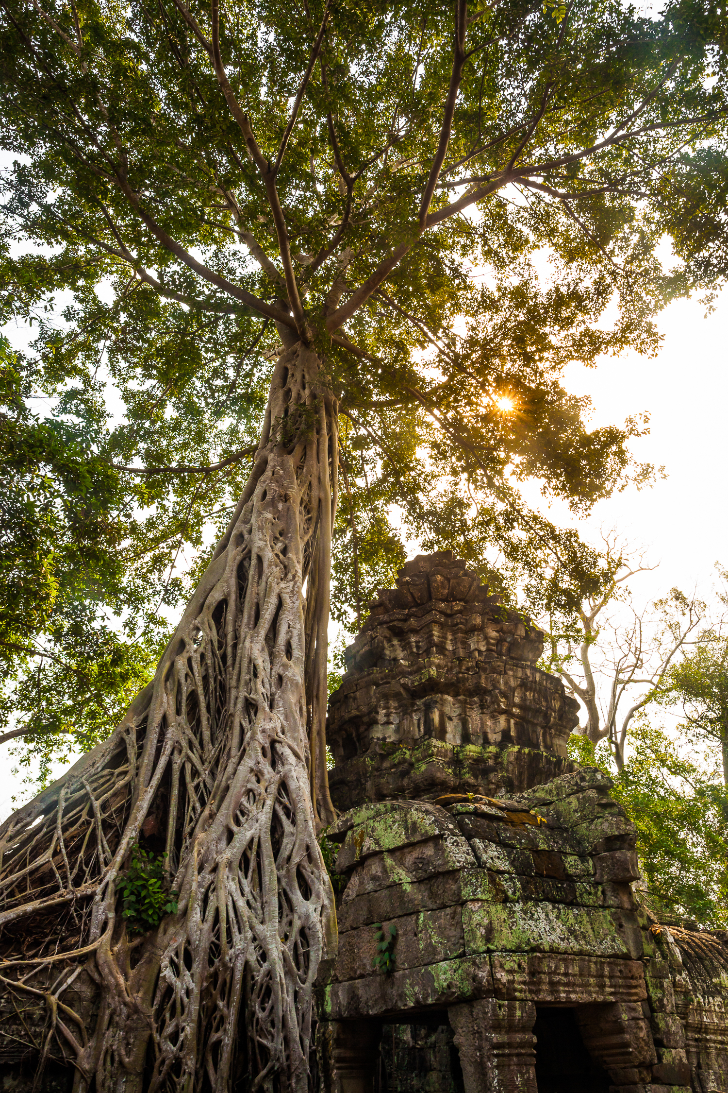 Francois Marclay_Cambodia_37.jpg