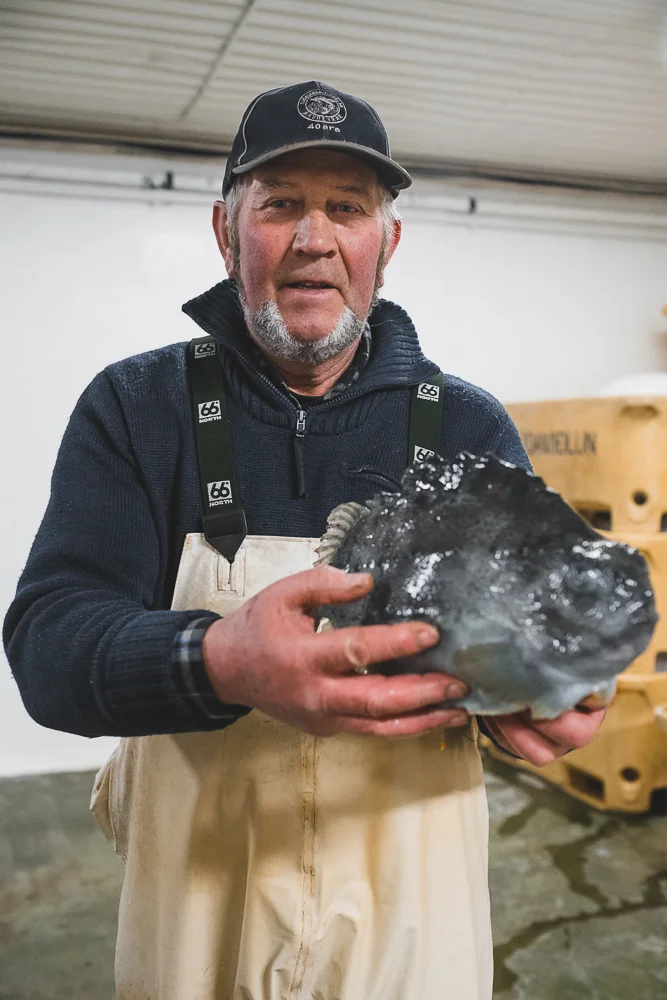 Francois Marclay_Iceland_03.jpg