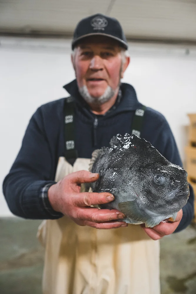 Francois Marclay_Iceland_04.jpg
