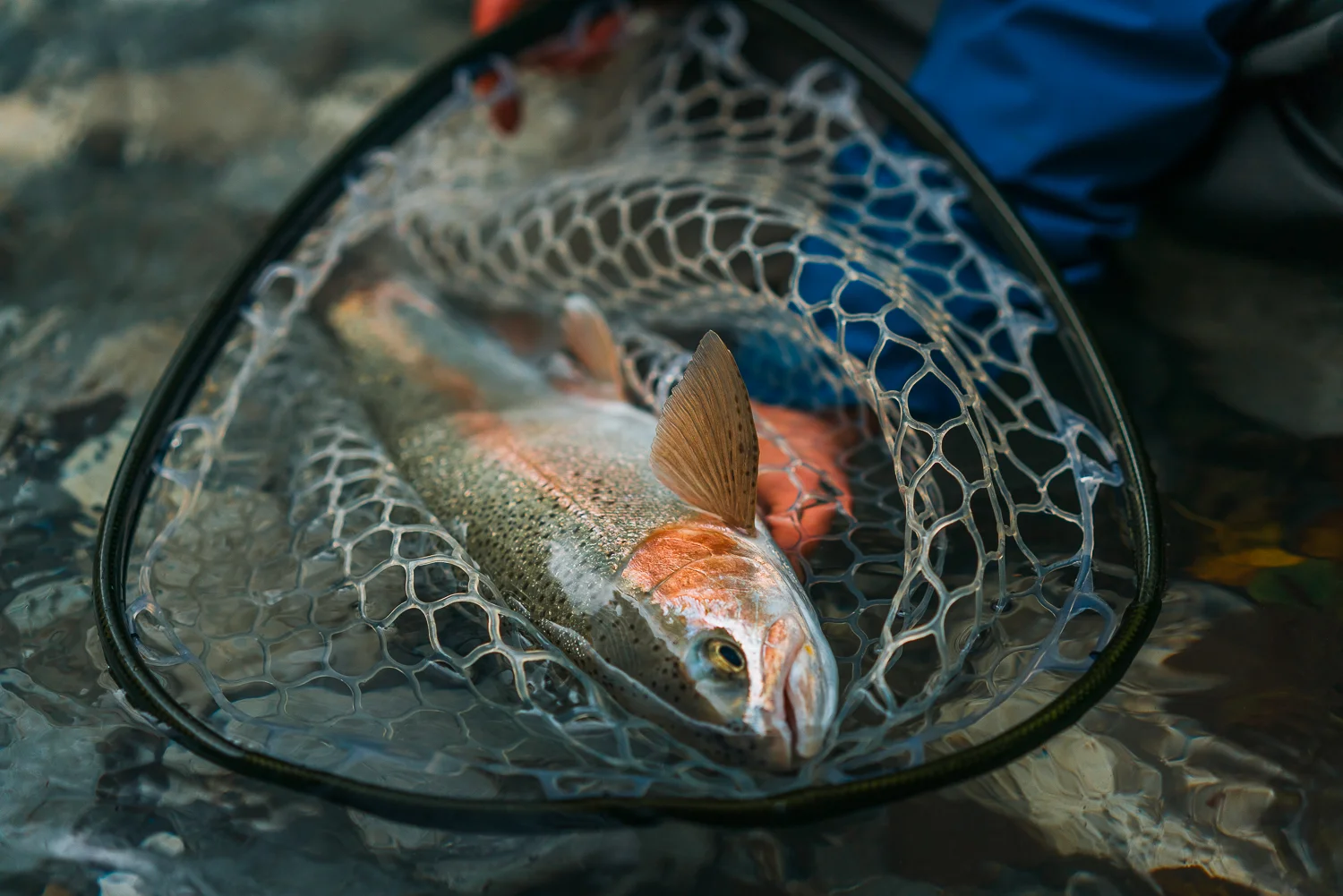 Francois_flyfishing_16.jpg