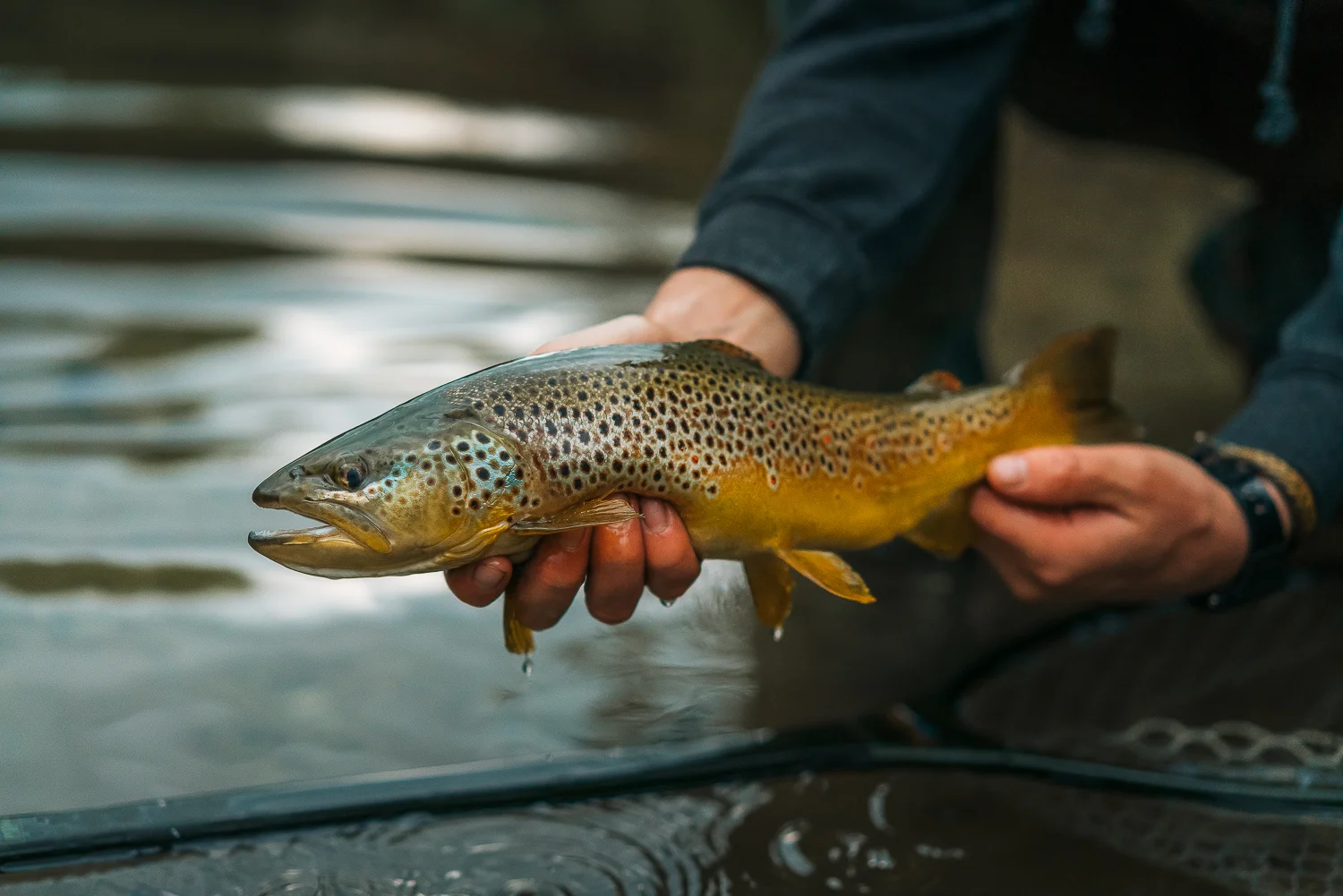 Francois_flyfishing_20.jpg