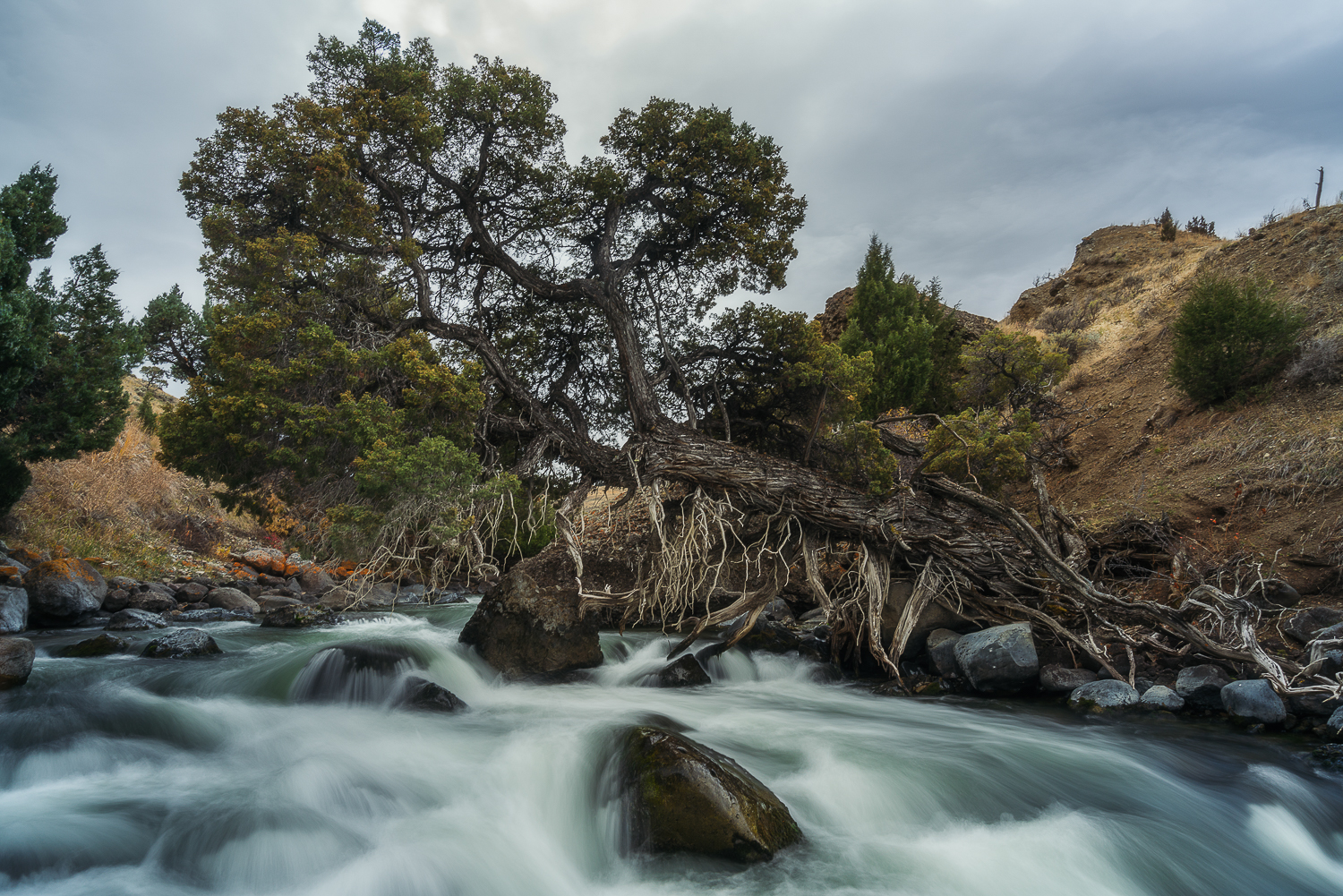 Francois Marclay_Yellowstone_20.jpg