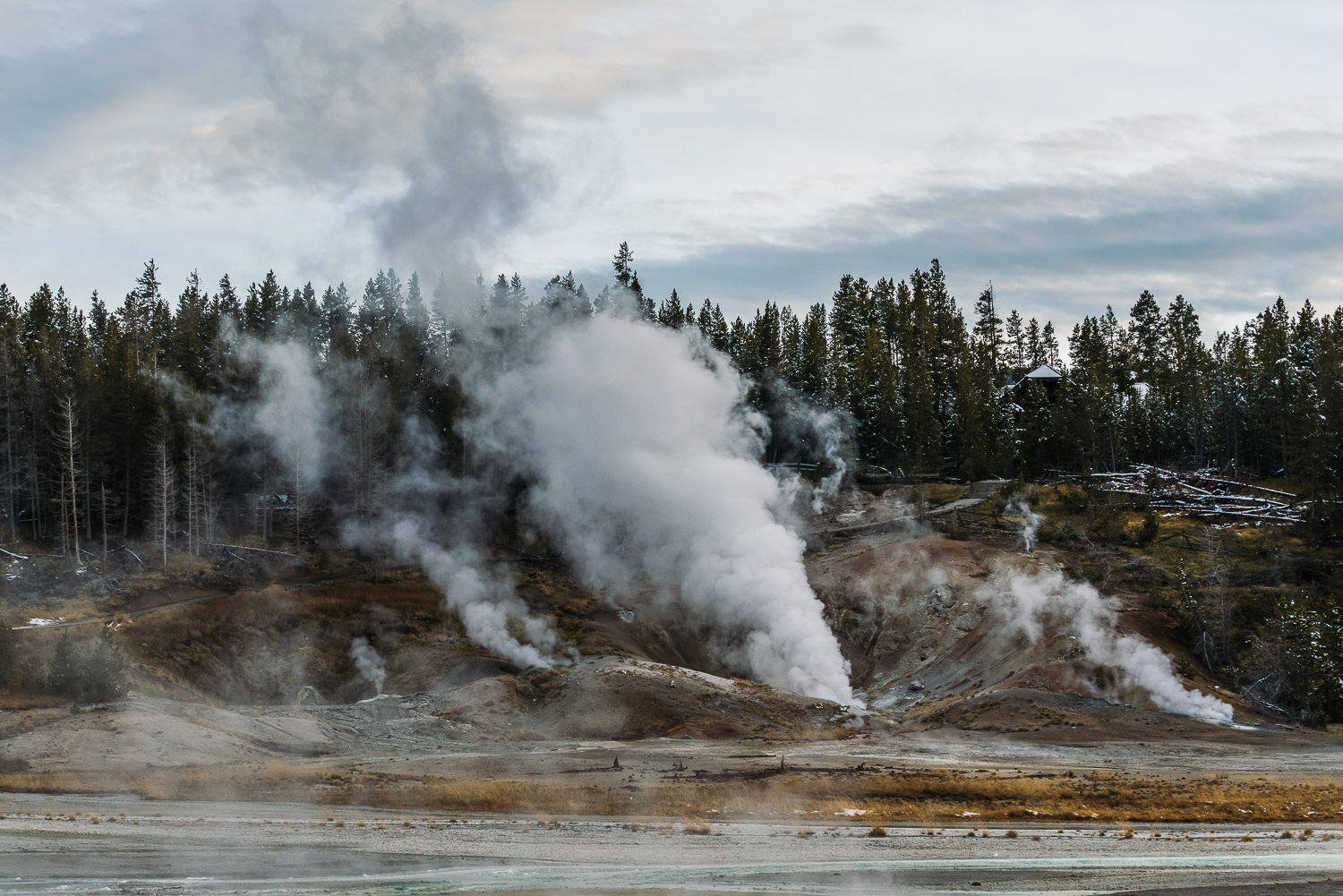 Francois Marclay_Yellowstone_25.jpg