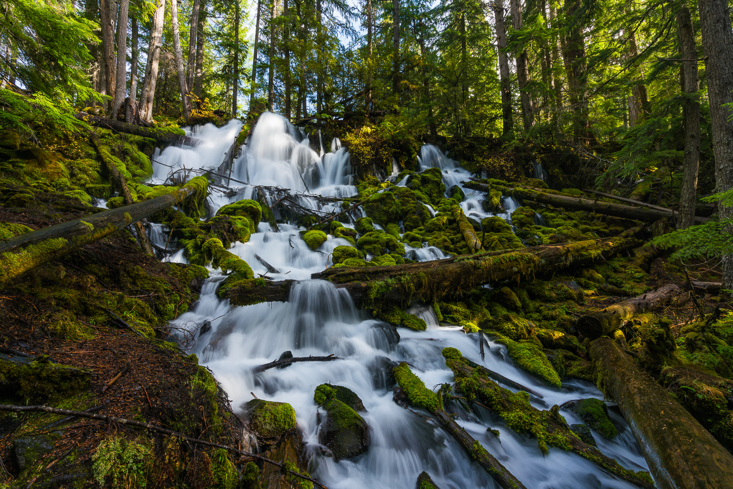 Francois Marclay_Oregon_14.jpg