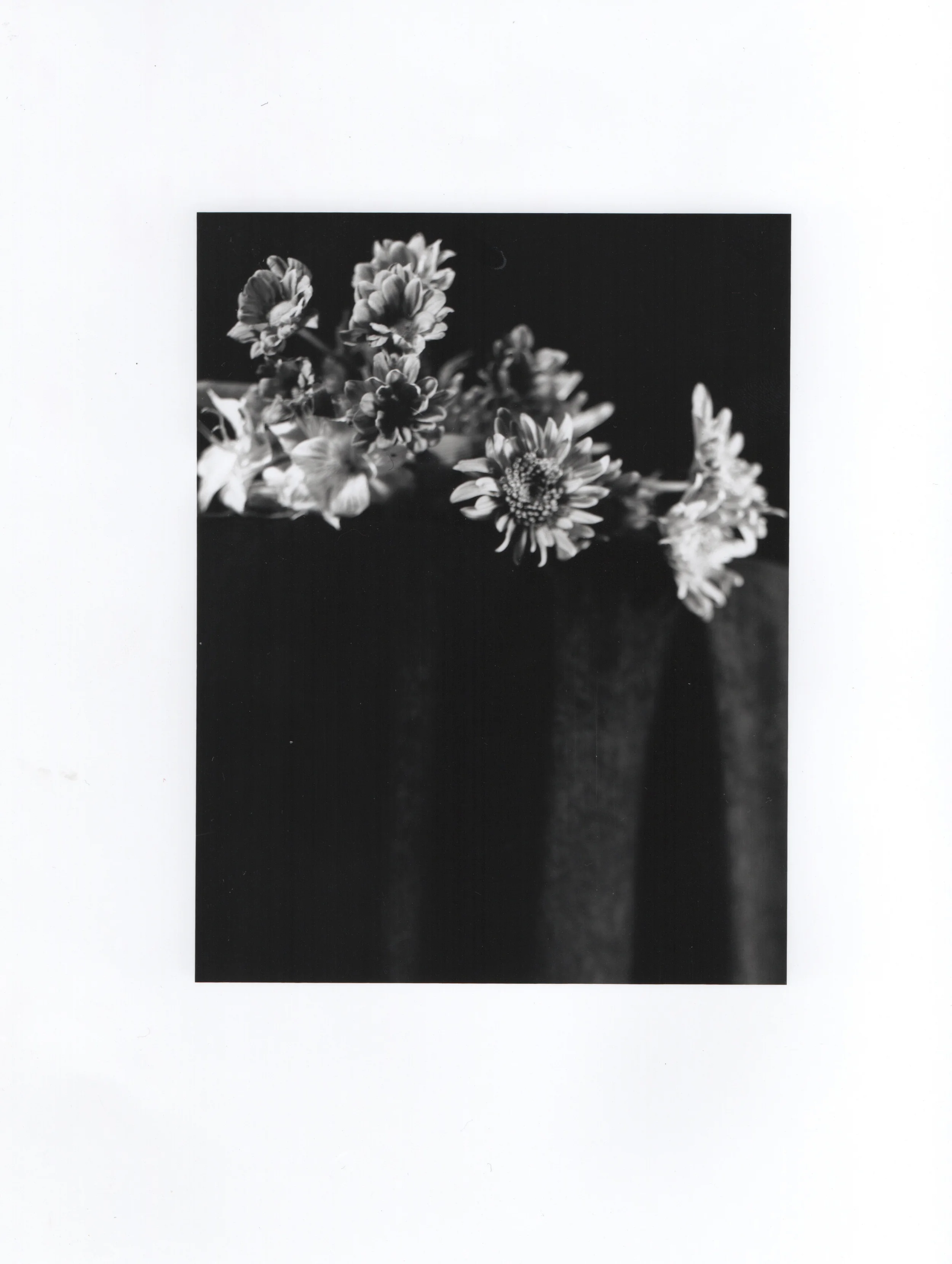 Flower 4x5 3 CLEANED.jpeg