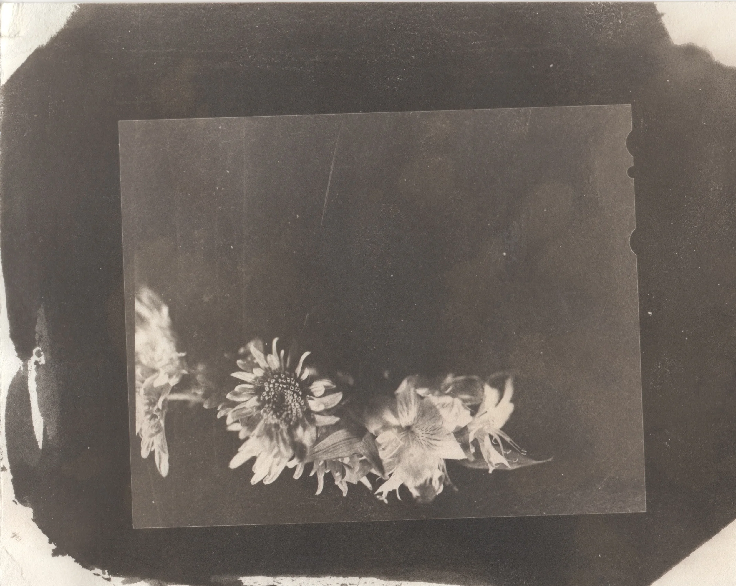 Palladium Print.jpg