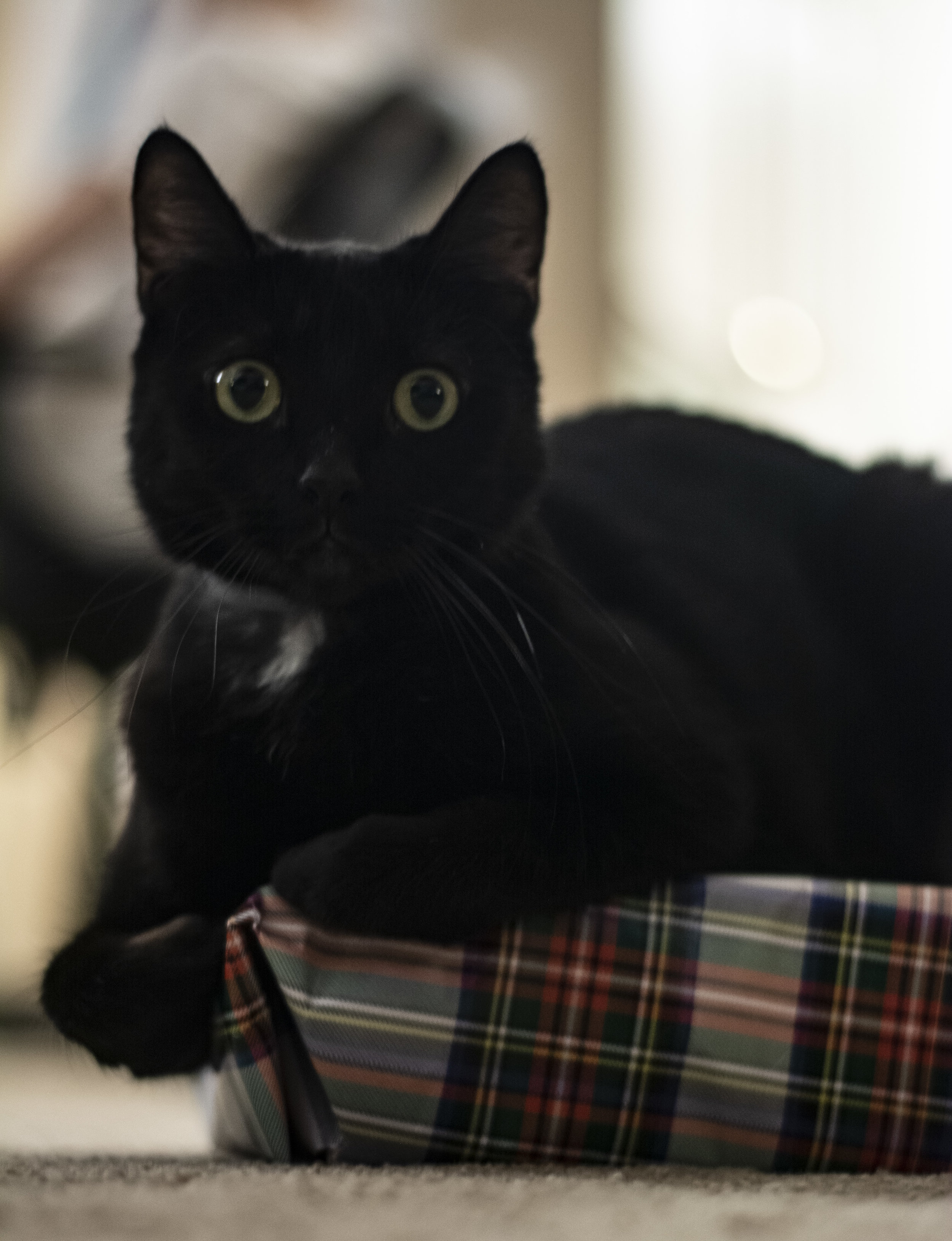 DSC_0392.jpg