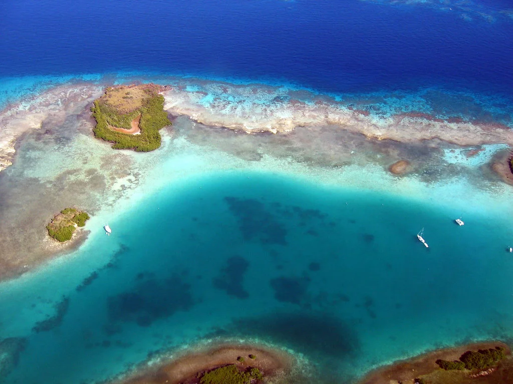 C reef (2).jpg