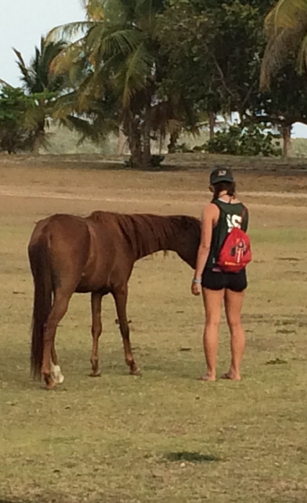 Caroline Myers: Caroline is attending pre-veterinary program in NY. In her free time she enjoys playing volleyball and working at an equine facility. 
