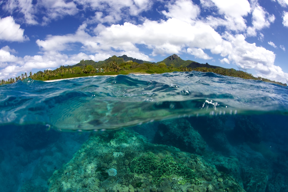 raro_3-1.jpg