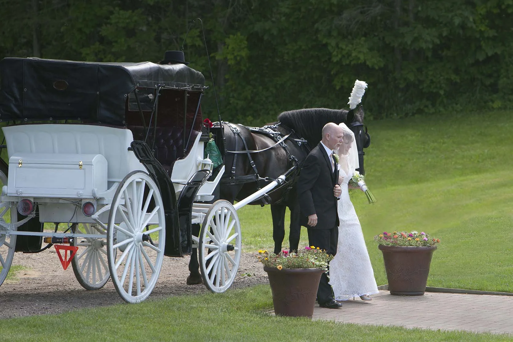 wedding 6 18 2011 3SM.jpg