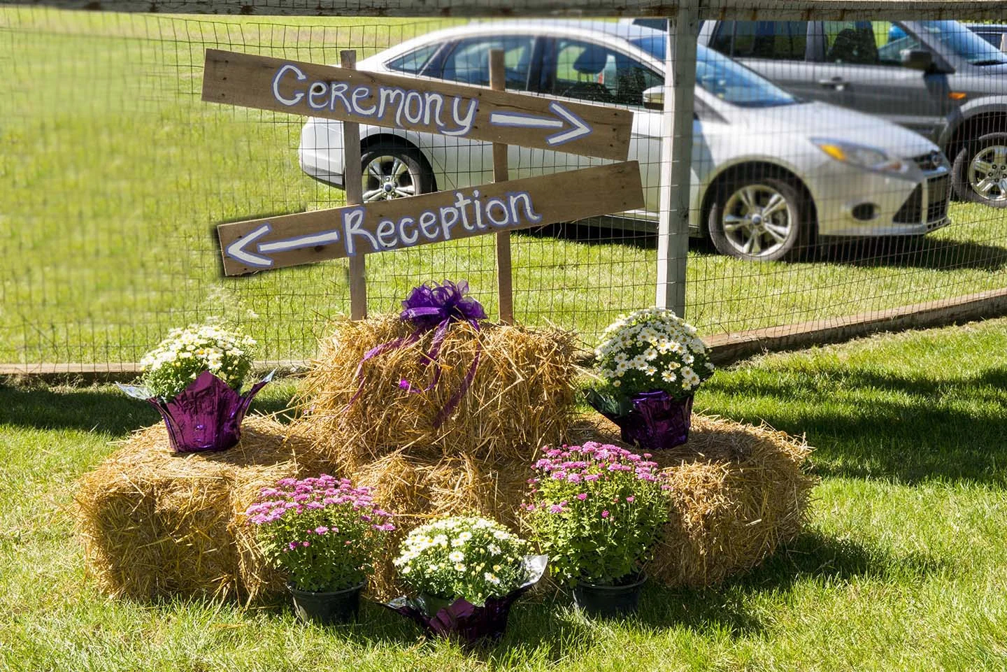 001_Decorations.jpg