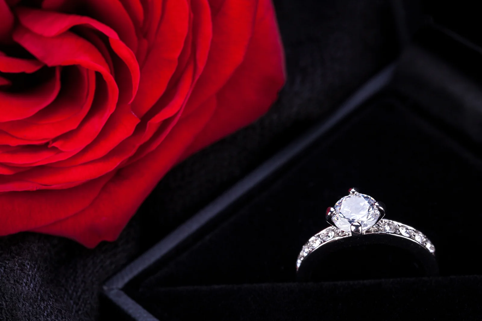 bigstock-Red-Rose-And-Diamond-Ring-In-A-54855740.jpg