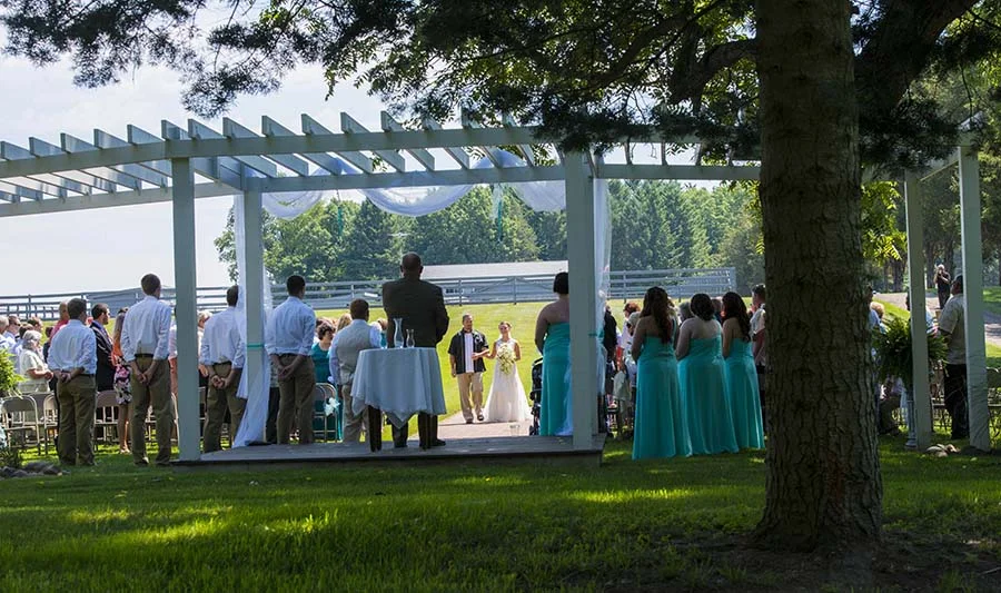 Ariel Walking Down the Aisle