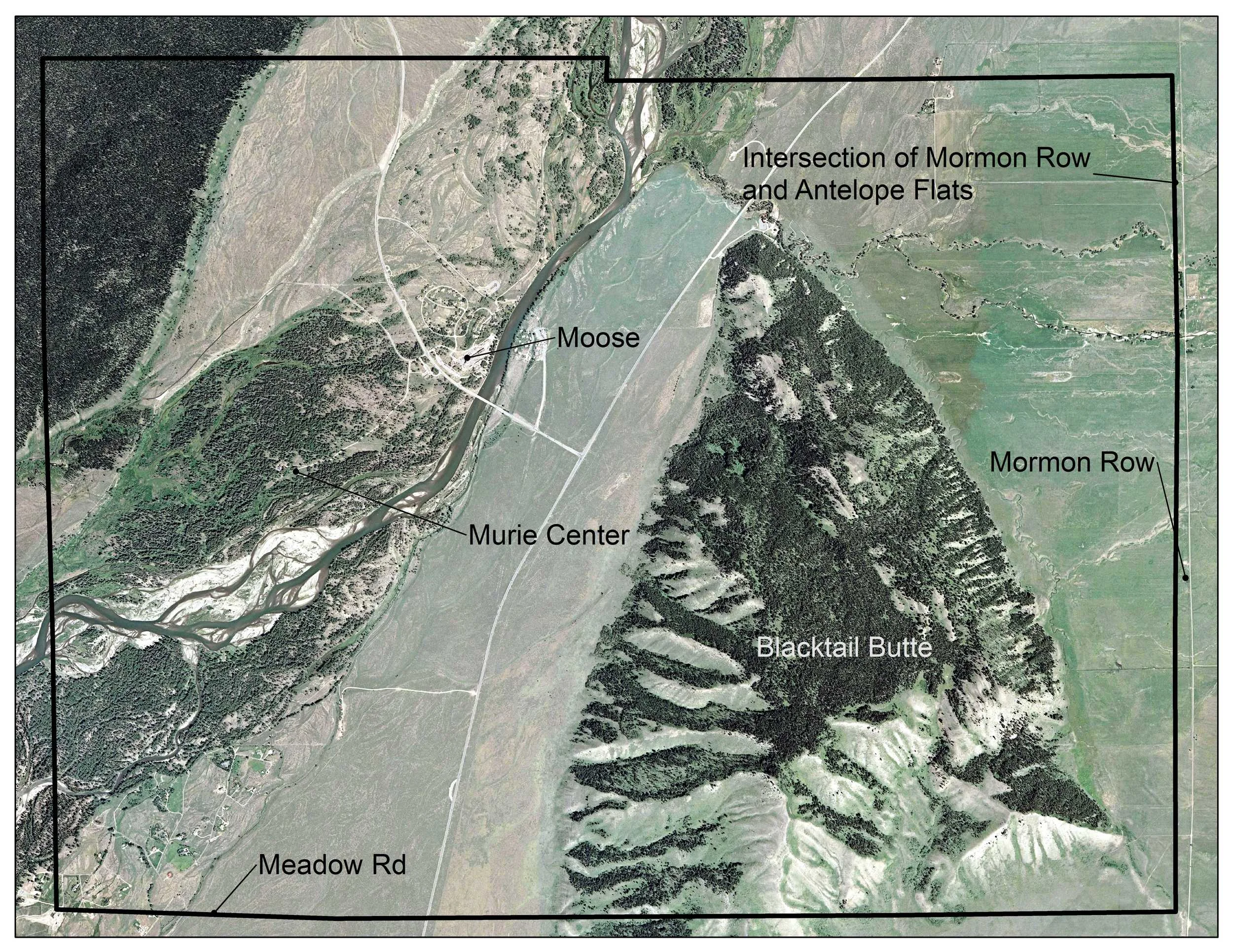 The Blacktail Butte Raptor Community study area.