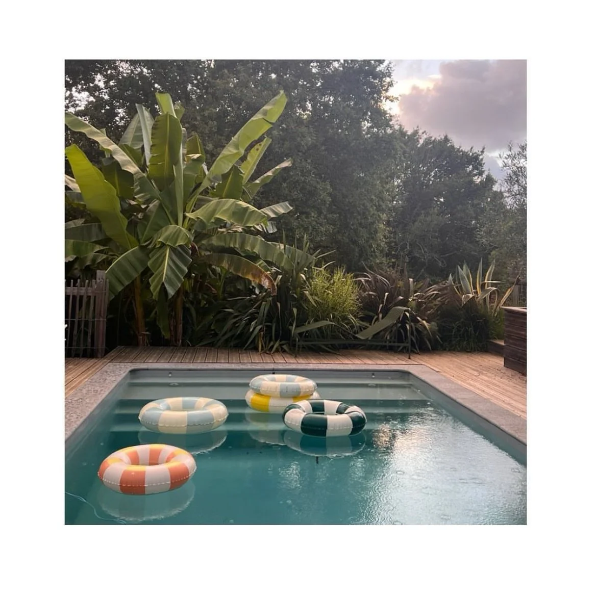 Capture d’écran . 2025-01-29 à 13.32.34.jpeg