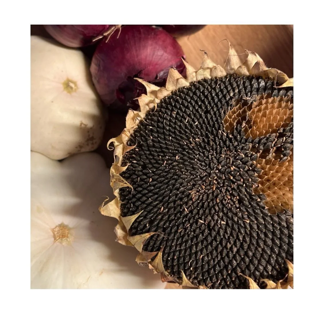 Capture d’écran . 2025-01-29 à 13.31.45.jpeg