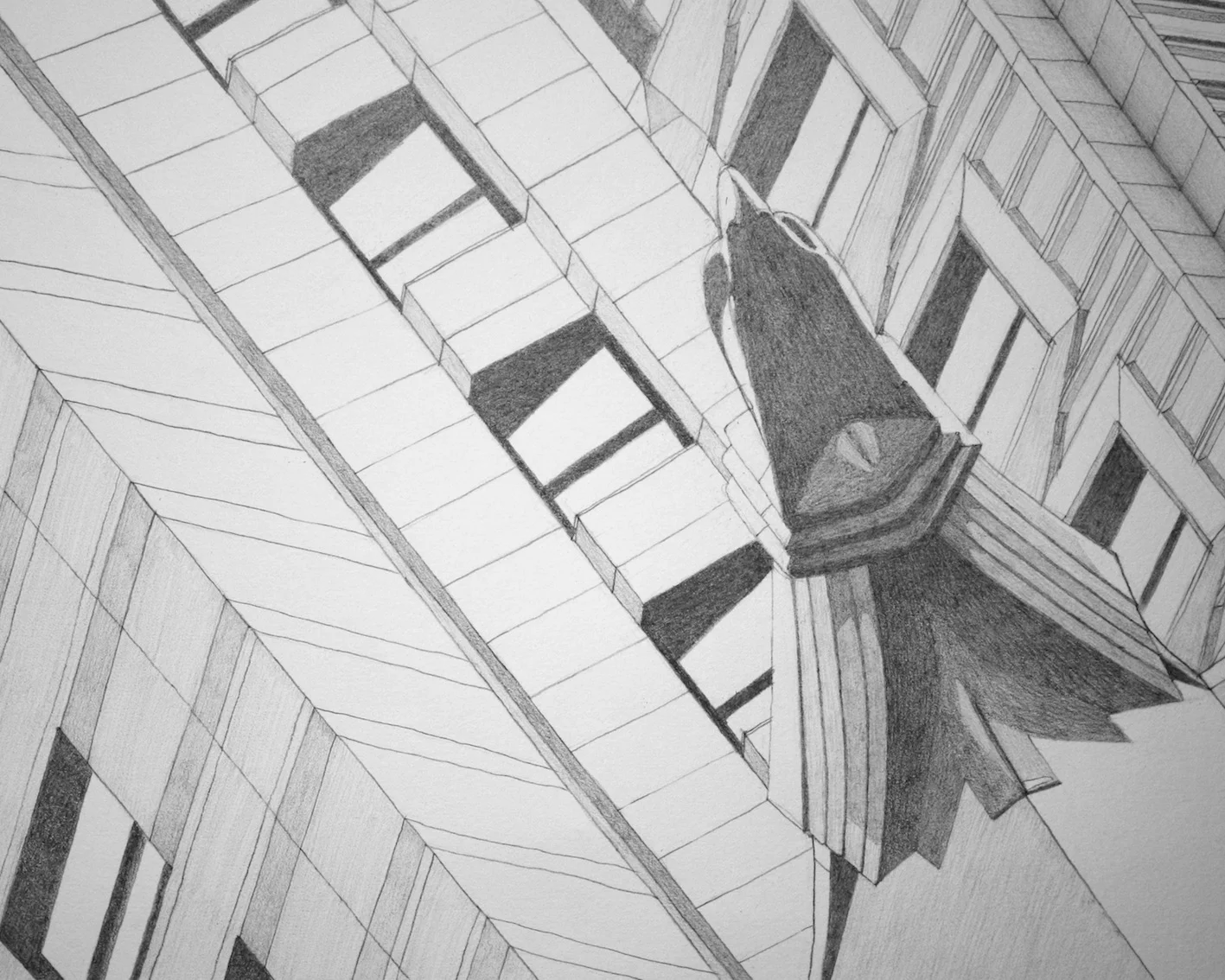 BCAlbury Taking Flight thmb.jpg