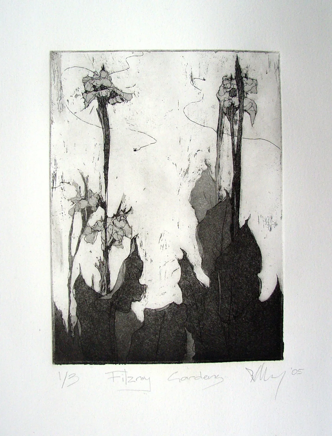 Fitzroy Gardens - Acid Etching  [Edition 1 of 3]