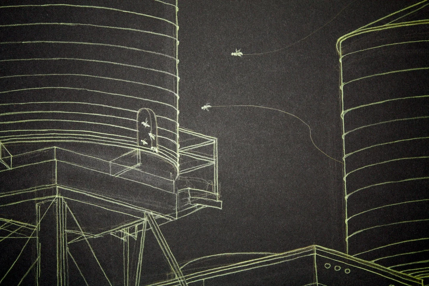 BCAlbury+Bee+Lines+03.jpg