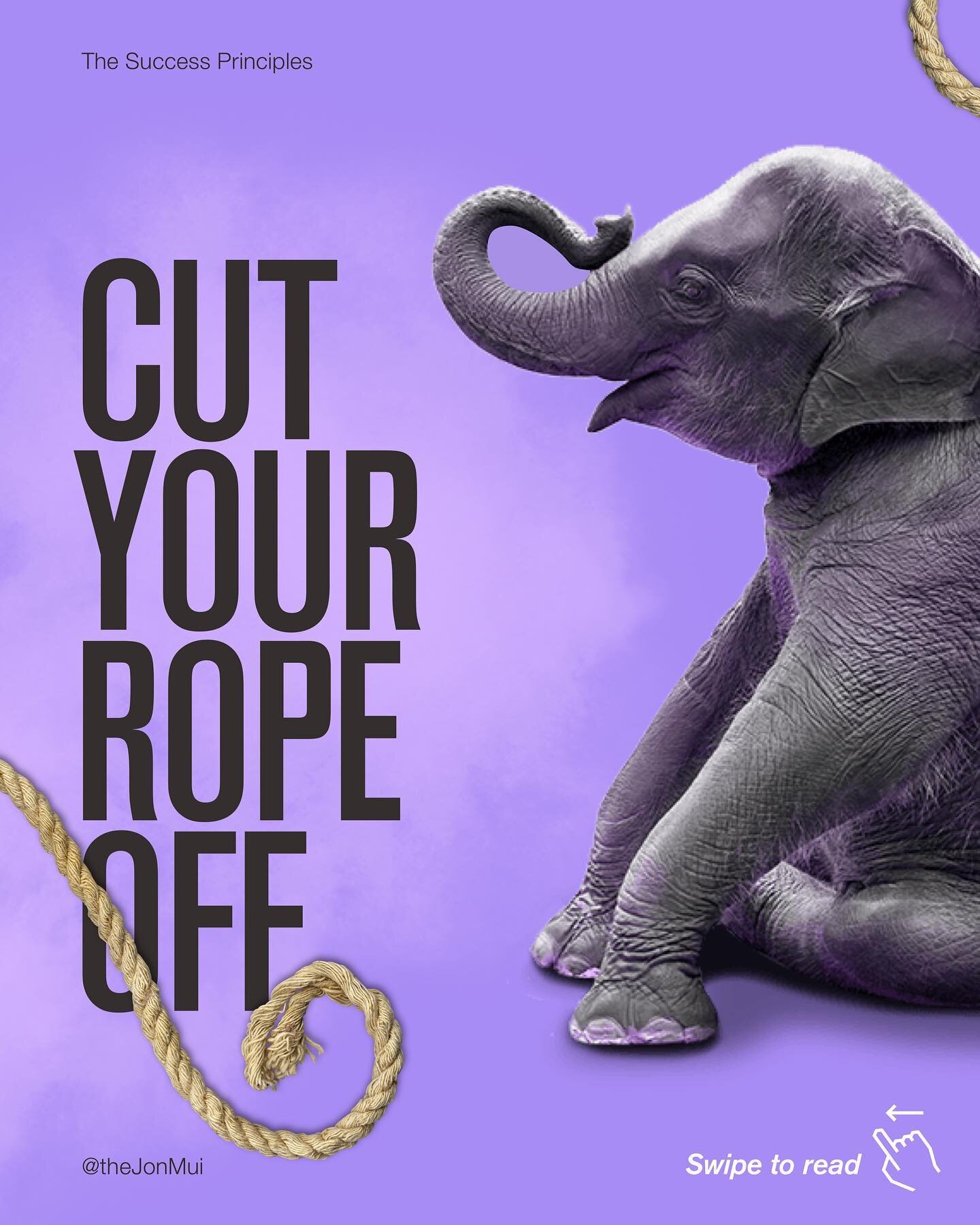 How are we confined by our rope?⁣
⁣
As we tend to stay in a comfort zone ⁣
⁣
entirely of our own making,⁣
⁣
most of us don't realize that ⁣
⁣
we possess the ability to break free.⁣
⁣
Don't be as dumb as an elephant.⁣
⁣
The next time we do something u