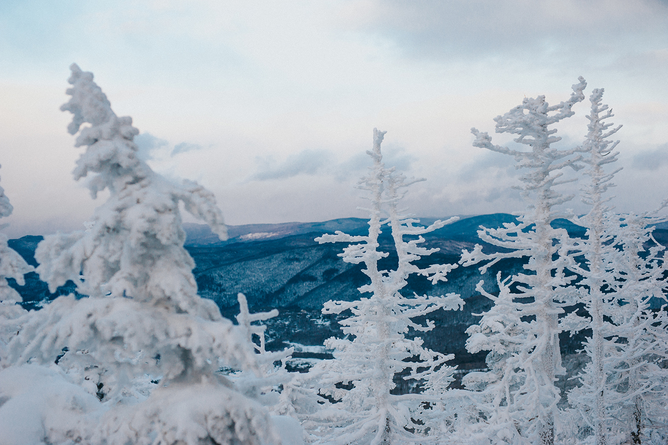 snow-covered-trees-engagement-idena-photographer-killington-vermont.jpg