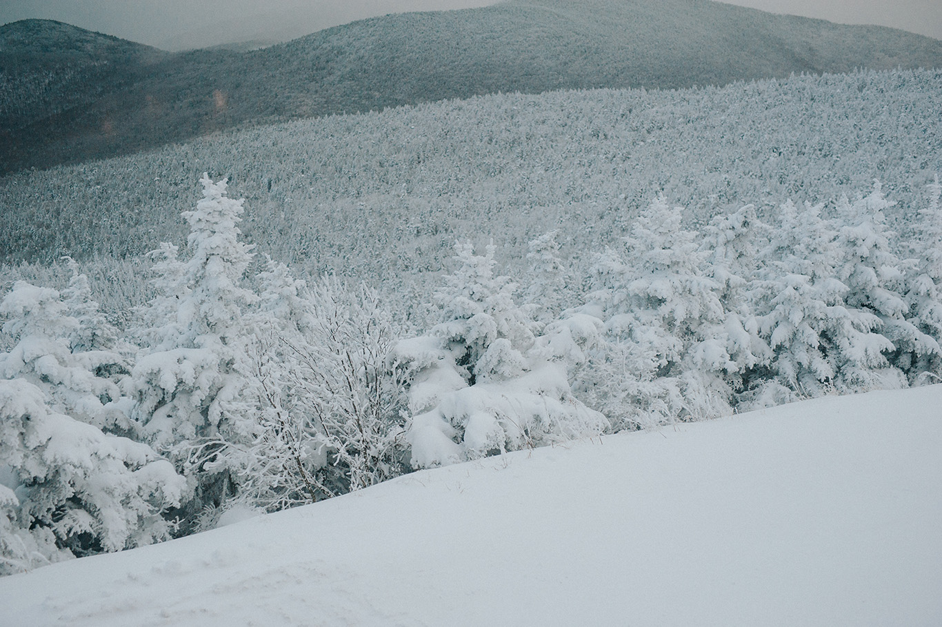 trees-covered-snow-killington-peak-vermont-idena-wedding-photographer.jpg