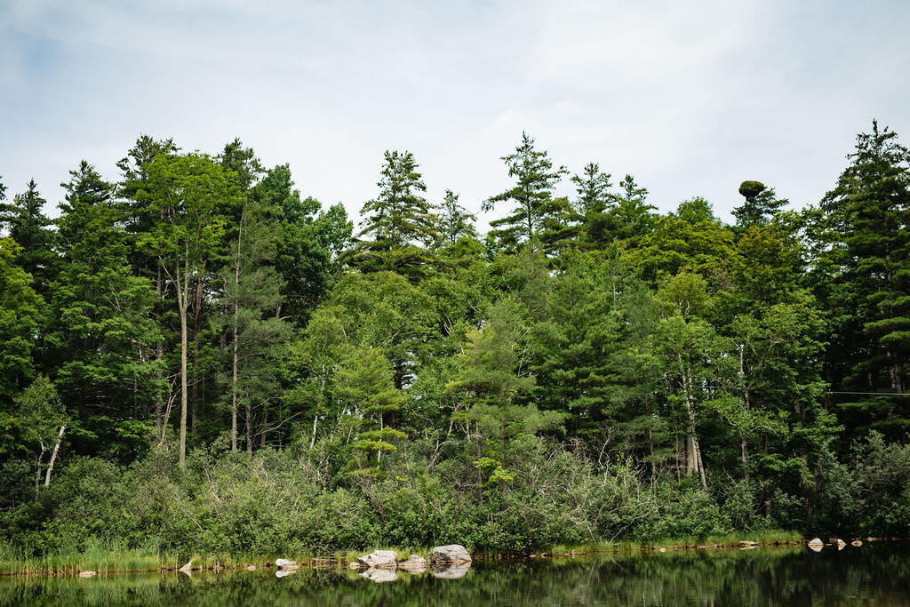  wonderful Wedding spot at The Equinox Pond in Manchester Vermont 