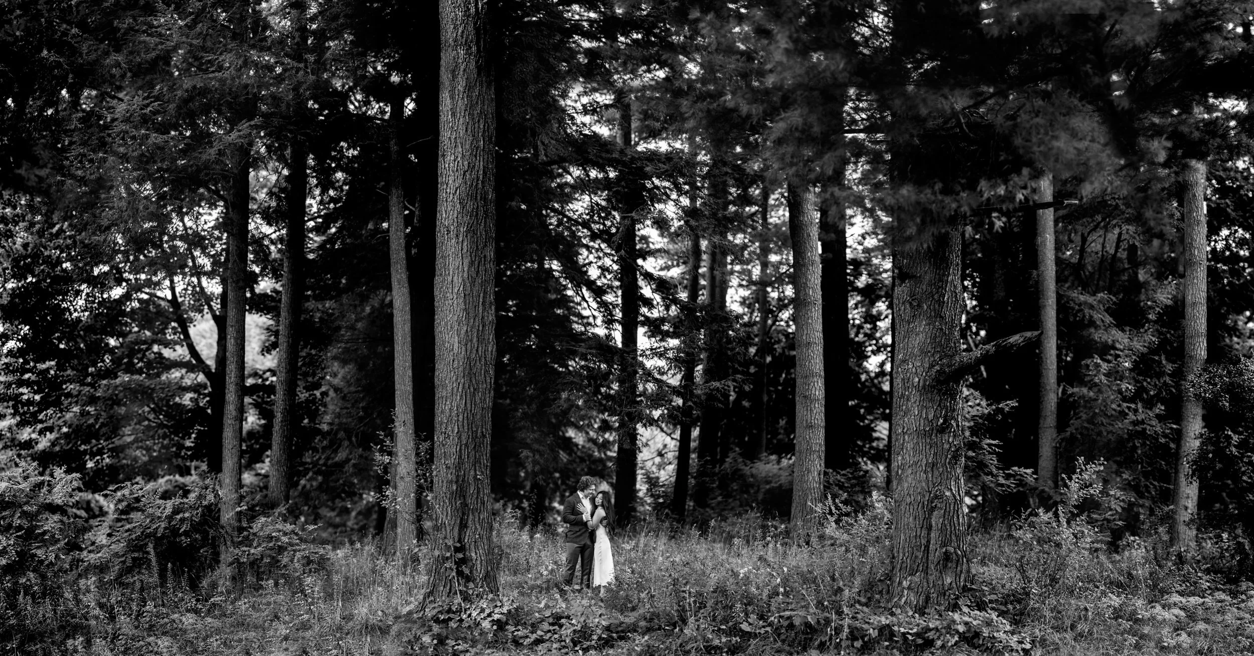In between weddings, we have proposals, elopements and family photos for my sweet past couples 🫶🏻 It&rsquo;s been a full, rewarding Fall