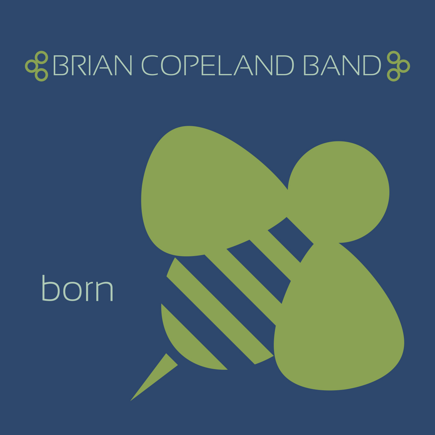 Brian Copeland Band