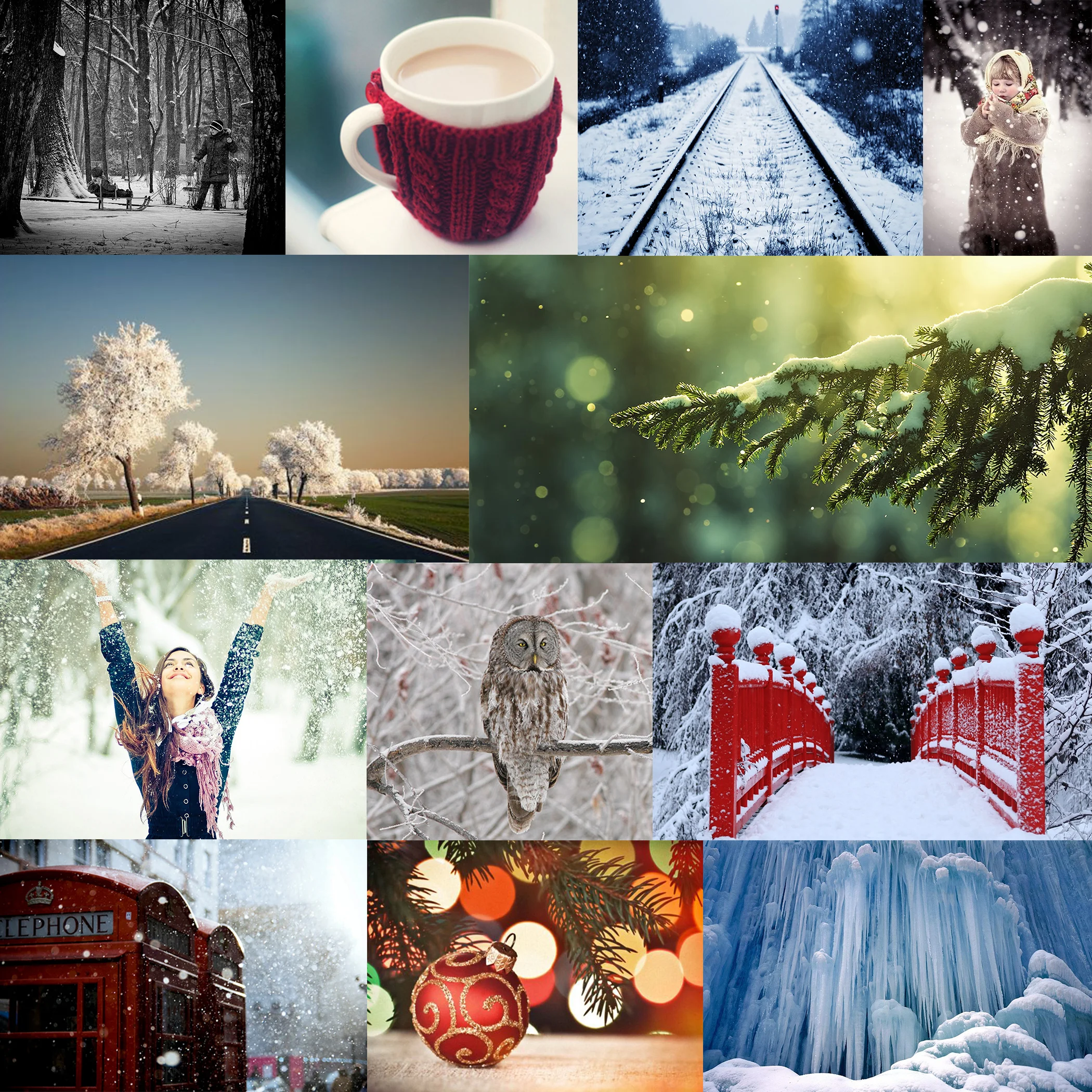 winter contest.jpg
