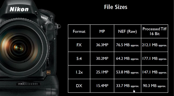 Nikon-D800-Image-Sizes-560x310.png