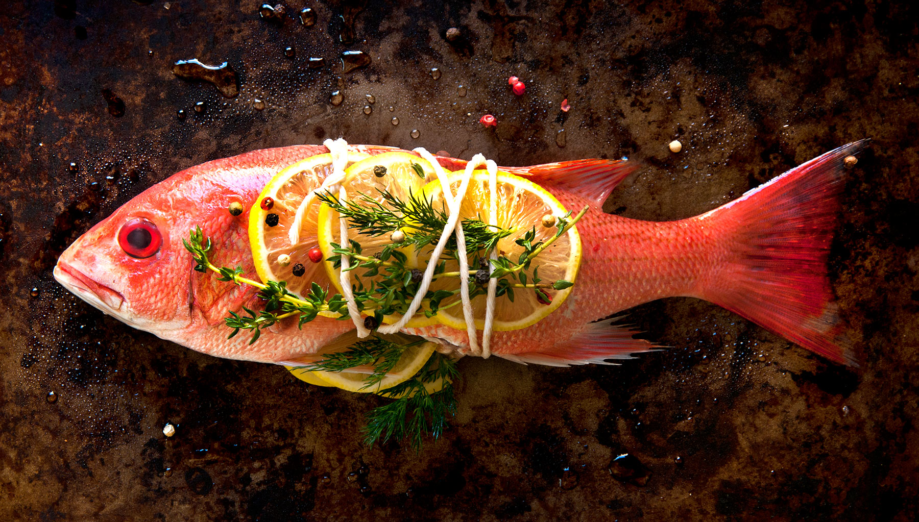 01Fish-1.jpg