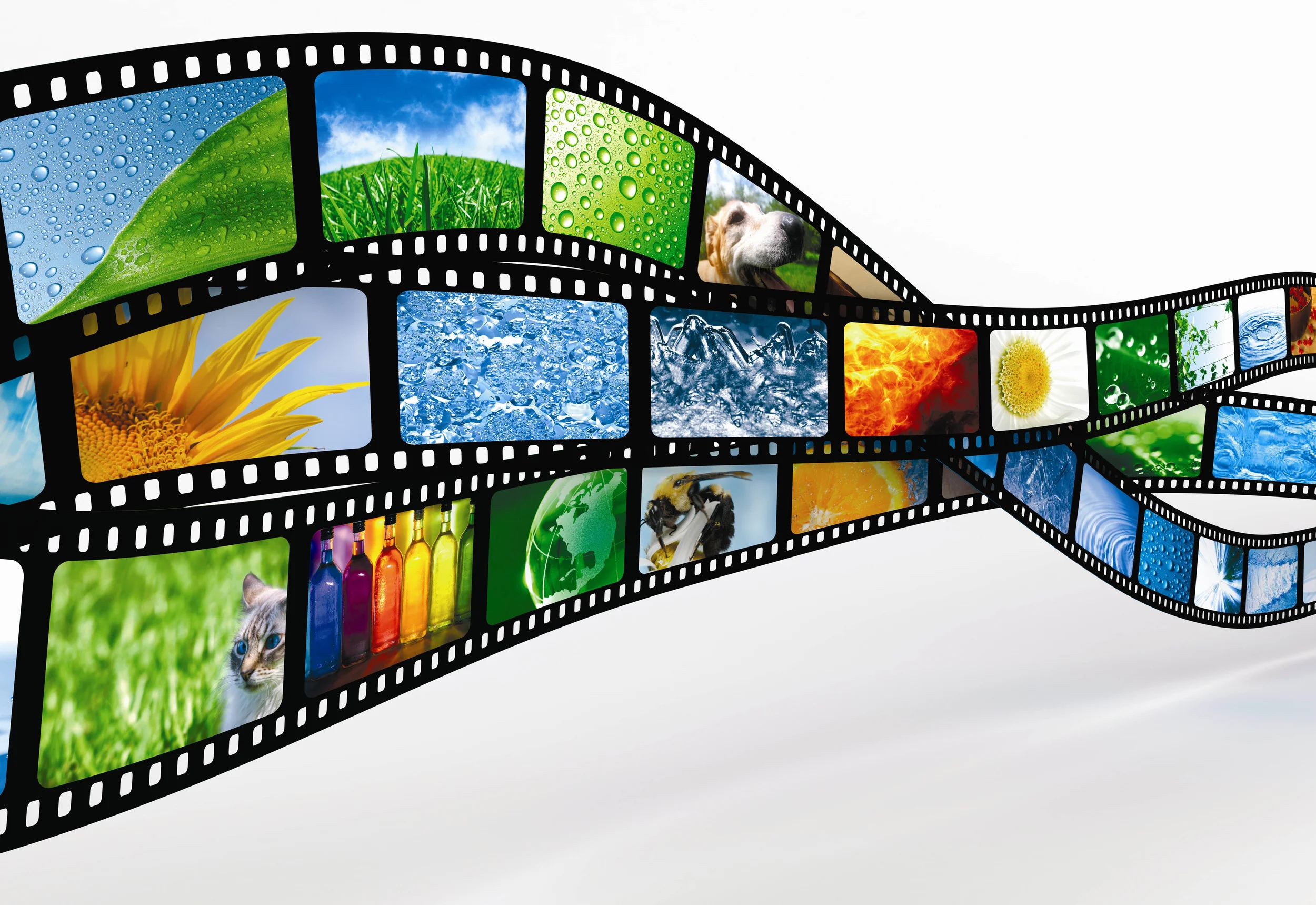 film-reel.jpg