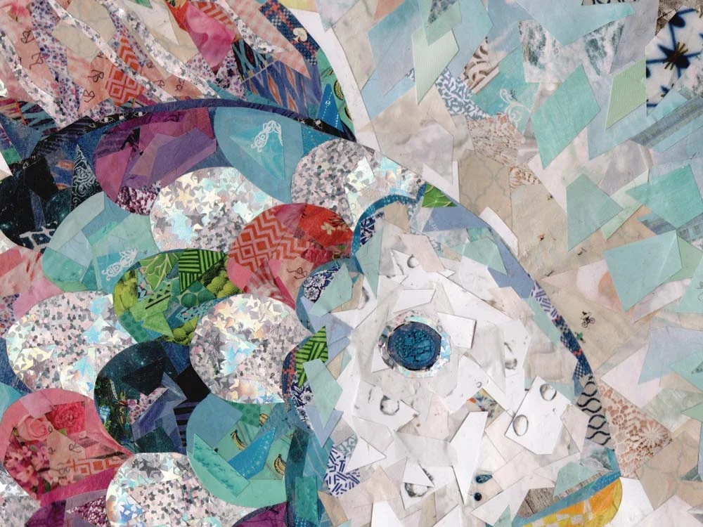 RainbowFish_CloseUp.jpg