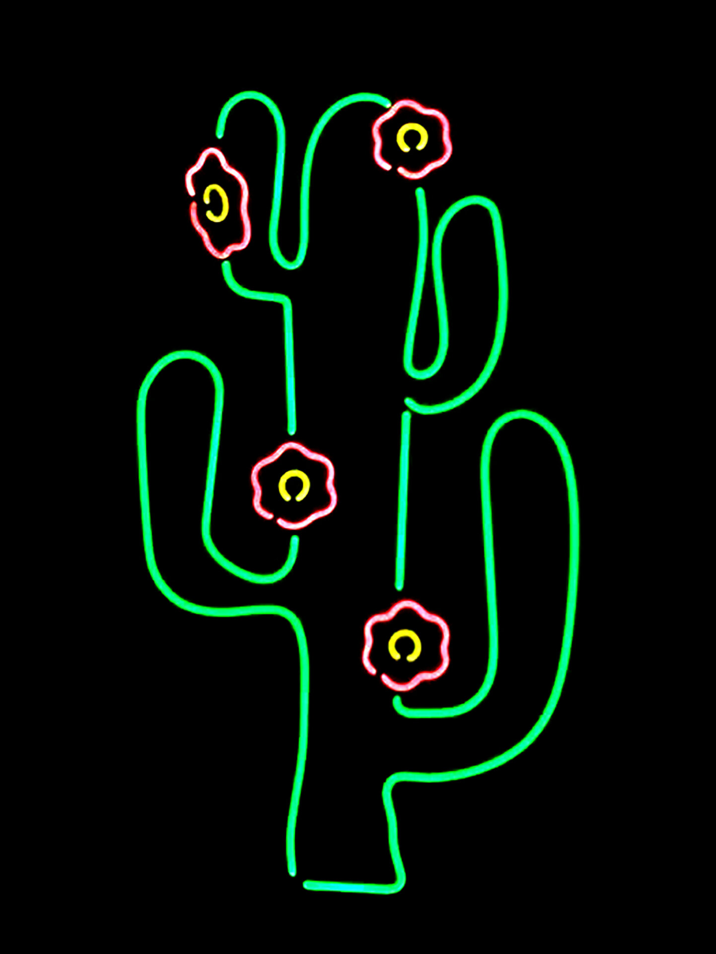 cactus 2.jpg