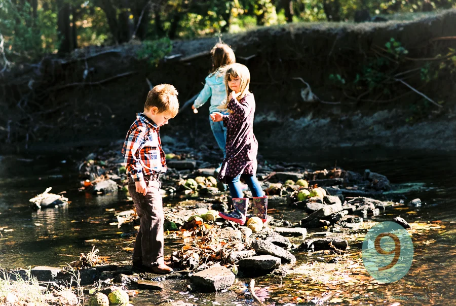 Nikon f100 Ektar 100