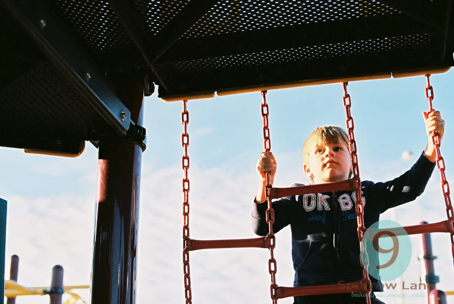 Nikon f100 Ektar 100