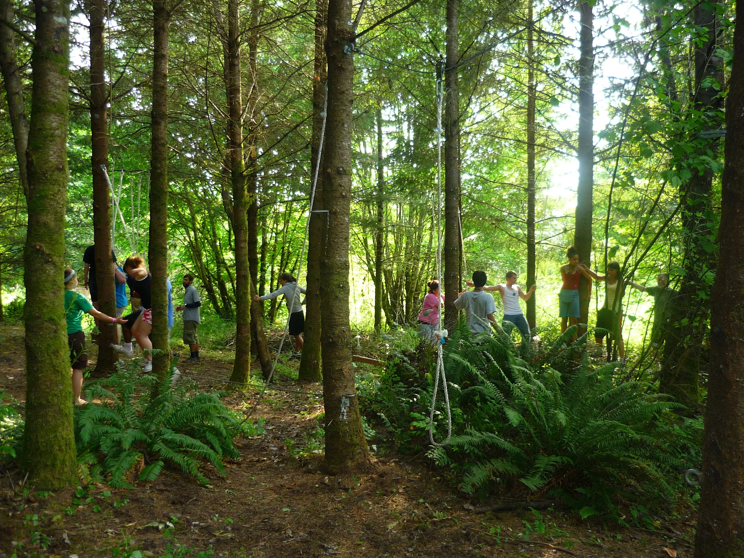 P1000227.JPG
