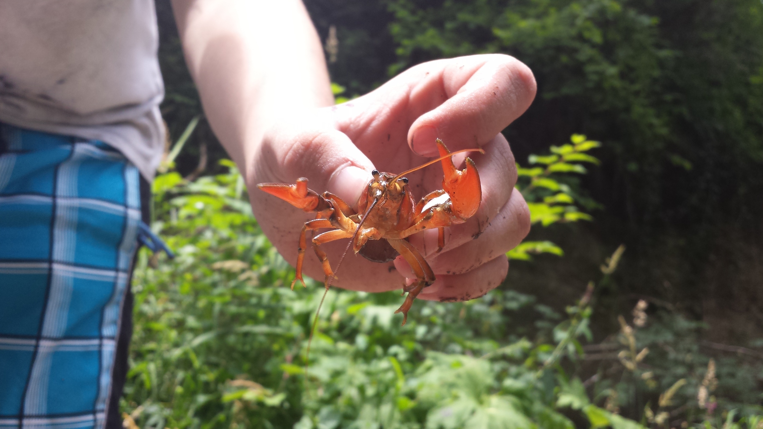 20140711_132757.jpg