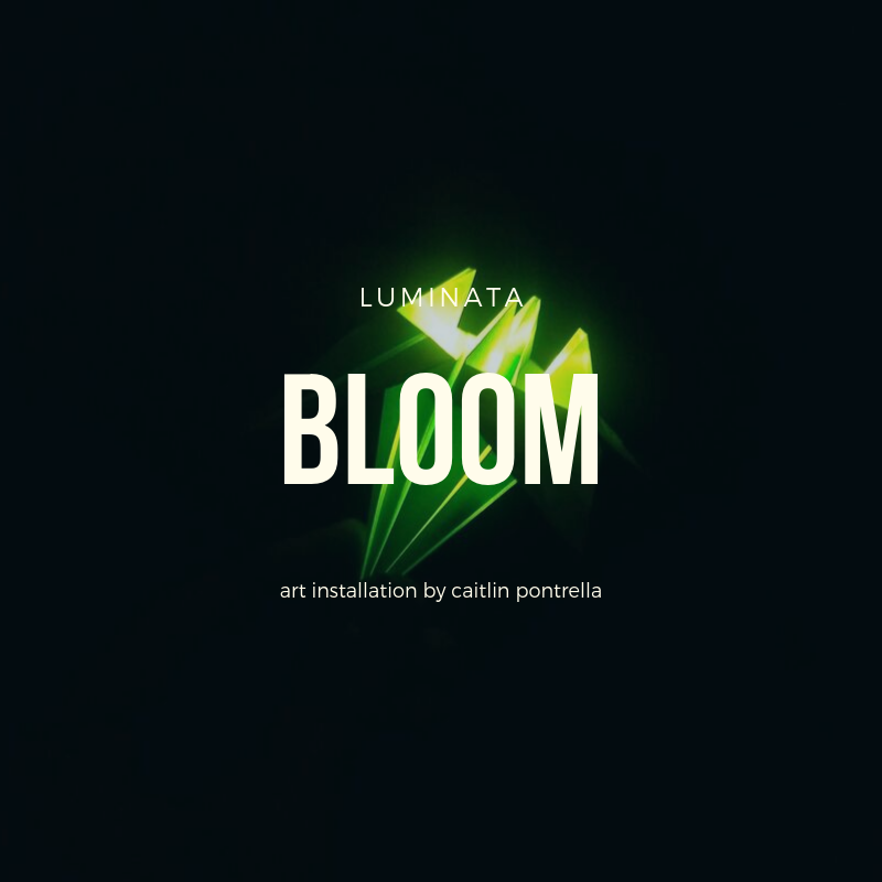 bloom.png