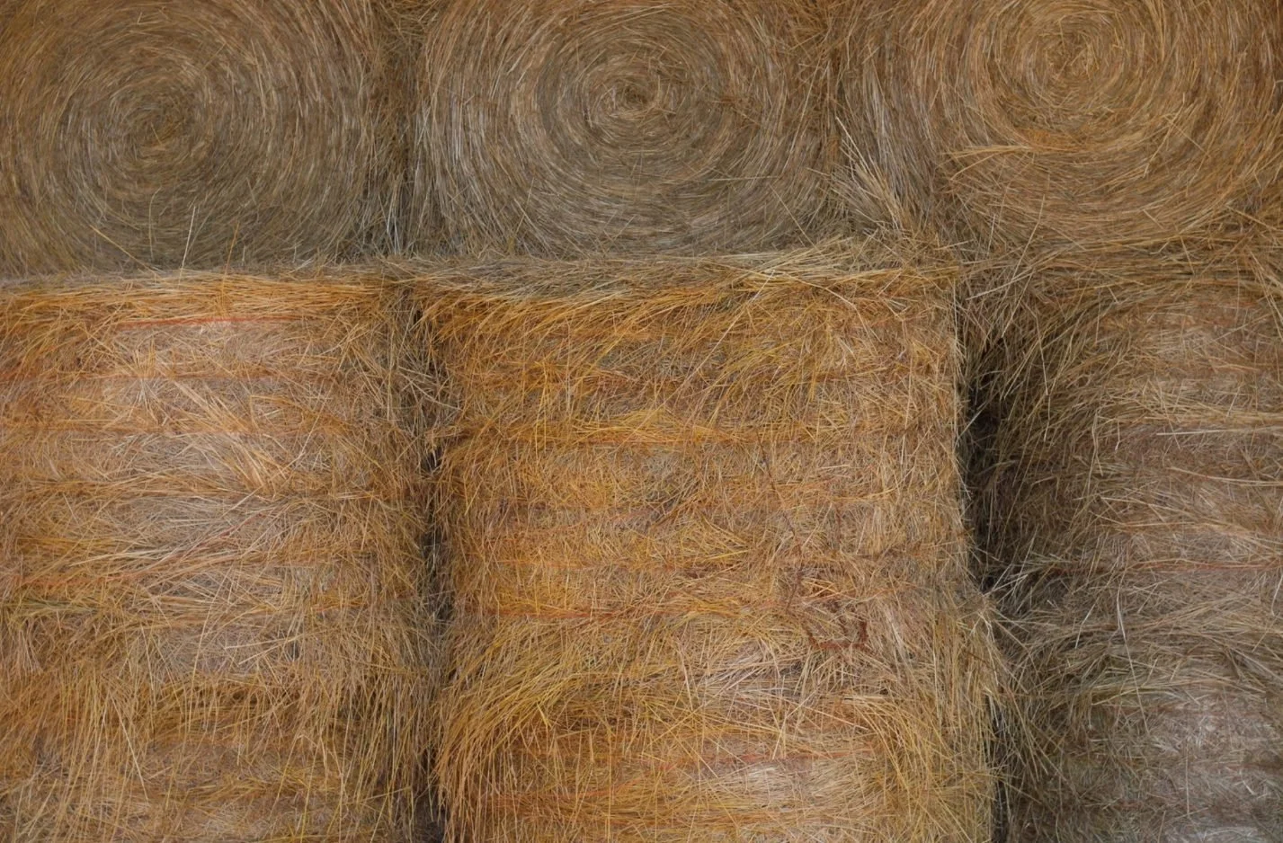 hay-bales.jpg