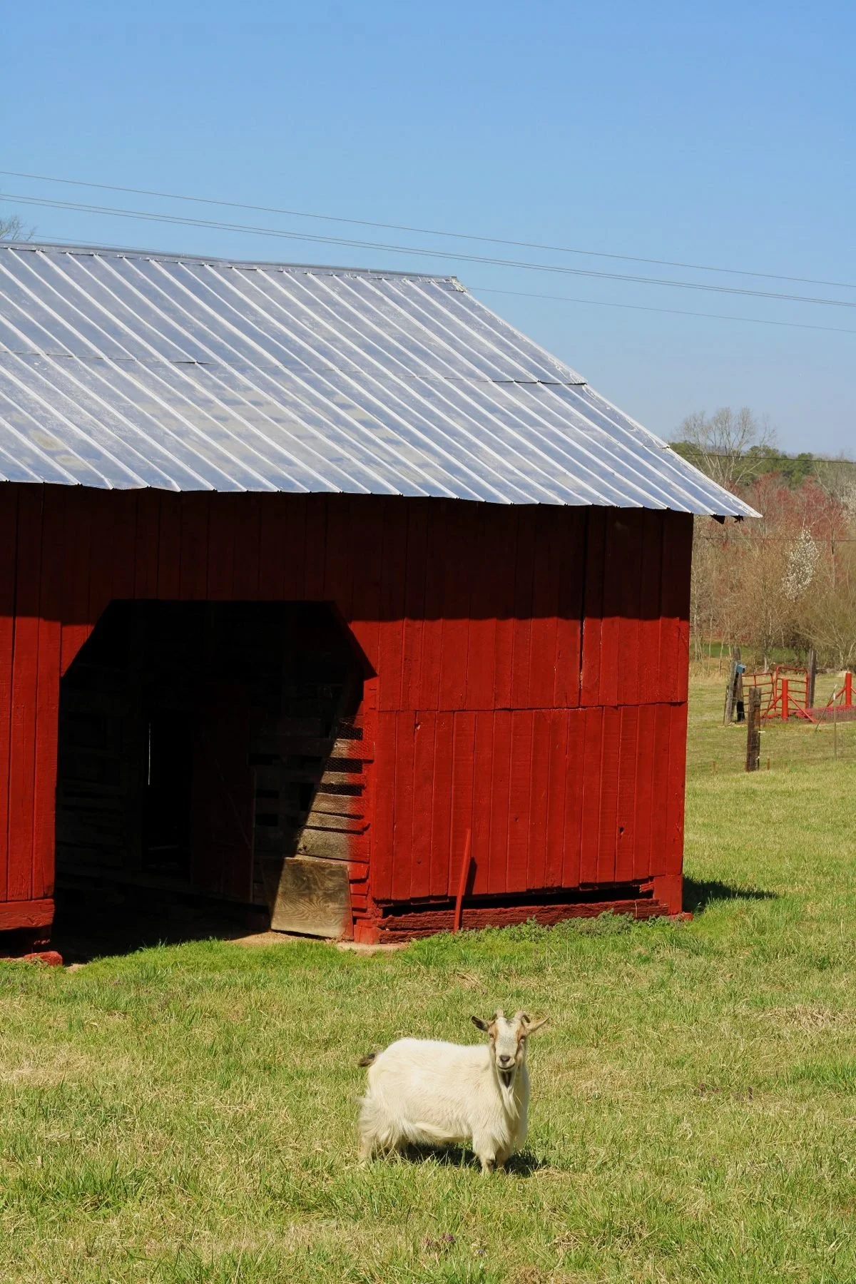 red-barn.jpg