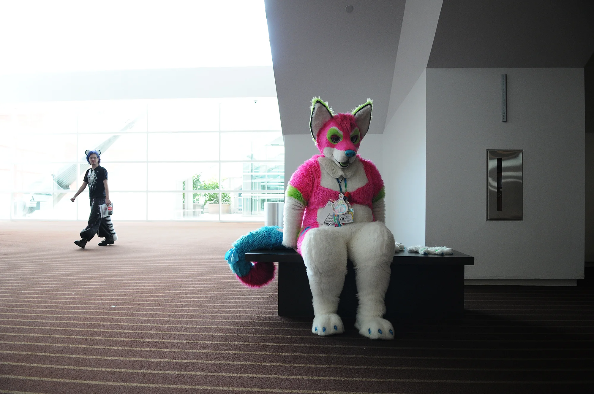 furry11.jpg