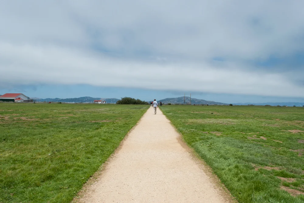 California-9.jpg
