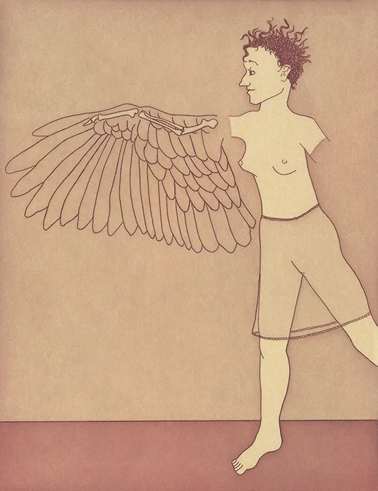 Bones, Feathers, Wings: This is How We Will Make You Into a Bird, 2015